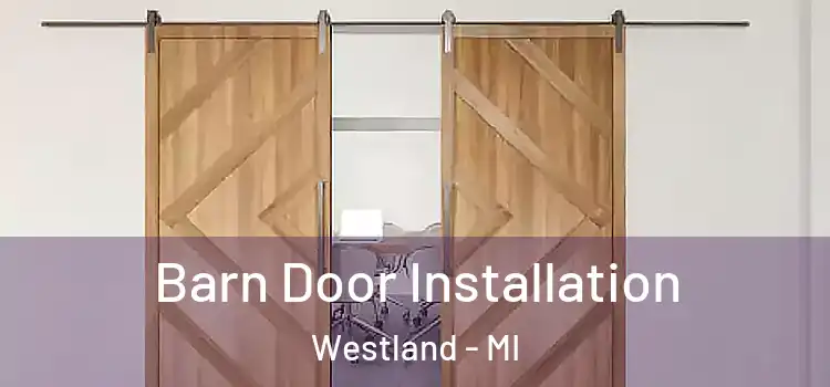  Barn Door Installation Westland - MI