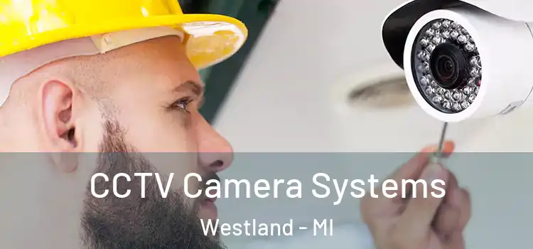 CCTV Camera Systems Westland - MI