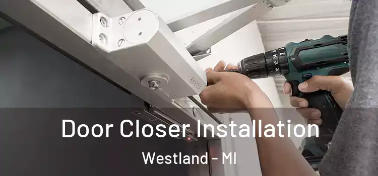 Door Closer Installation Westland - MI
