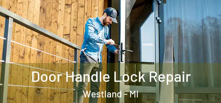 Door Handle Lock Repair Westland - MI