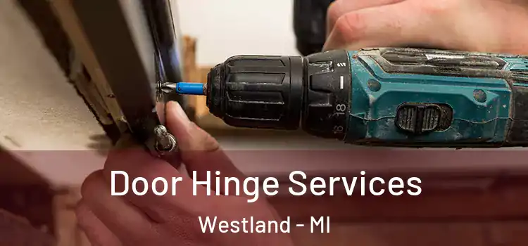  Door Hinge Services Westland - MI