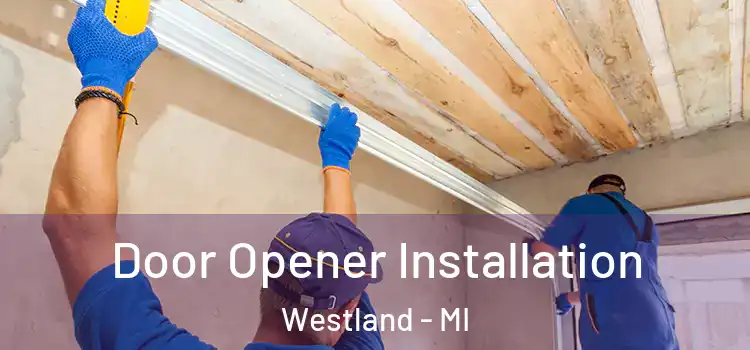 Door Opener Installation Westland - MI