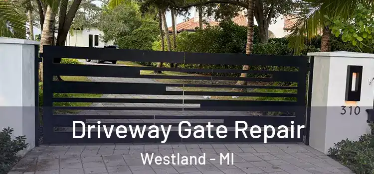Driveway Gate Repair Westland - MI