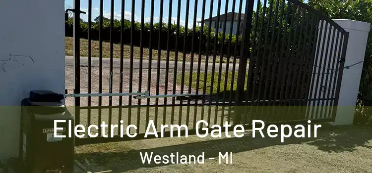 Electric Arm Gate Repair Westland - MI