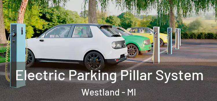 Electric Parking Pillar System Westland - MI