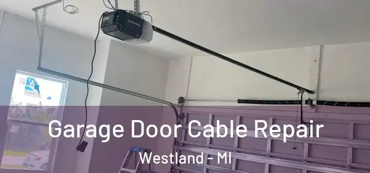  Garage Door Cable Repair Westland - MI