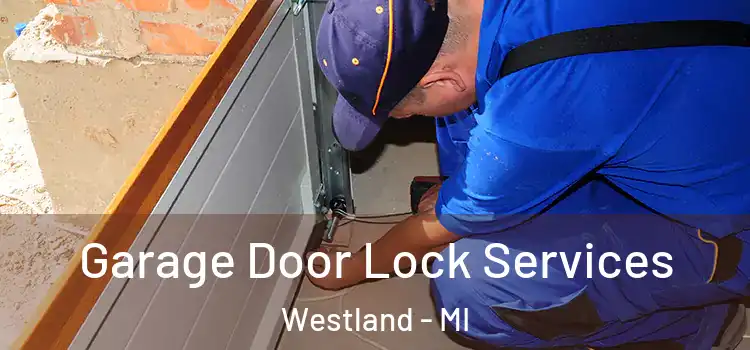 Garage Door Lock Services Westland - MI