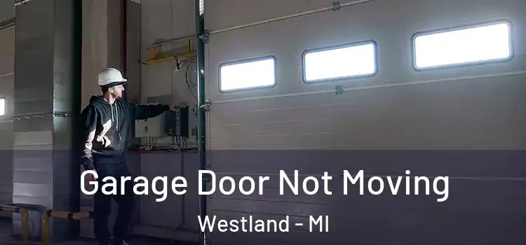  Garage Door Not Moving Westland - MI