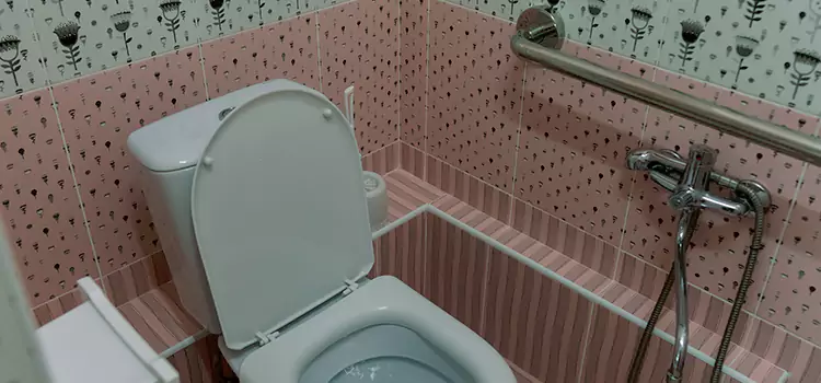 Meeting Diverse Needs With Accessible Restroom Solutions in Westland, MI