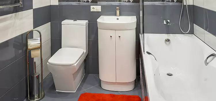 Hansgrohe Shaving Mirror Westland