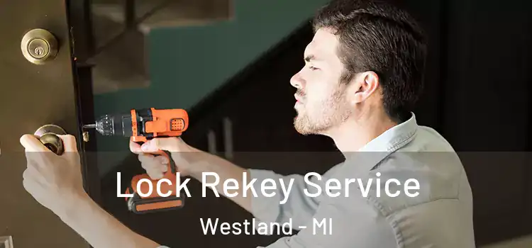 Lock Rekey Service Westland - MI