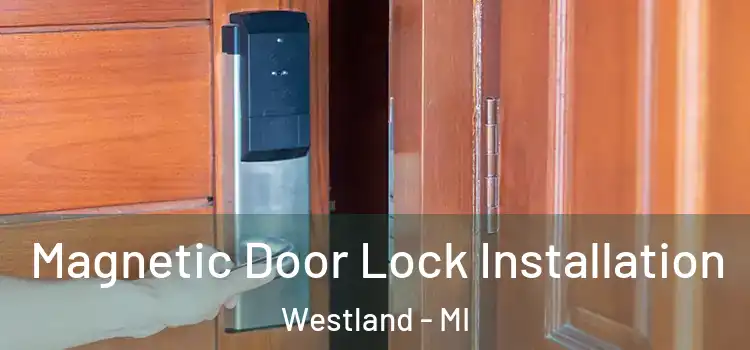  Magnetic Door Lock Installation Westland - MI