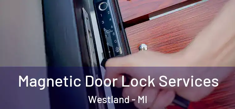 Magnetic Door Lock Services Westland - MI