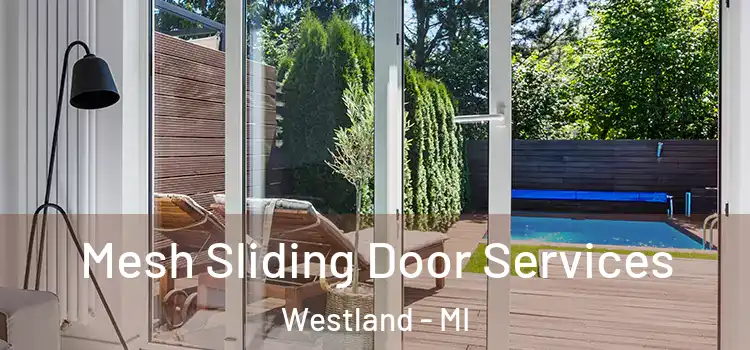 Mesh Sliding Door Services Westland - MI