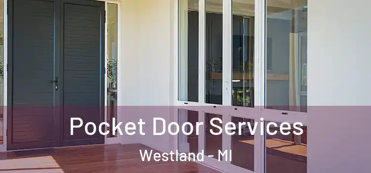 Pocket Door Services Westland - MI