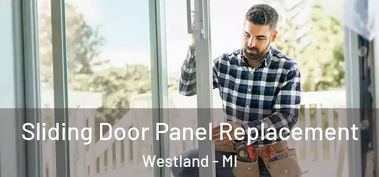  Sliding Door Panel Replacement Westland - MI