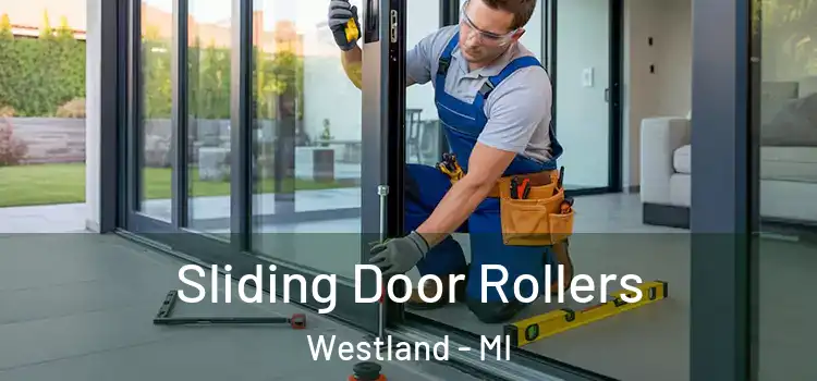  Sliding Door Rollers Westland - MI