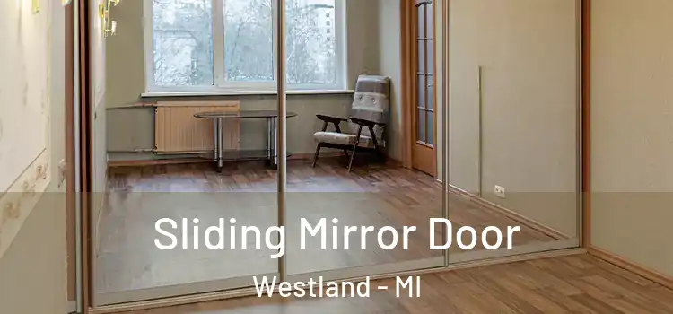  Sliding Mirror Door Westland - MI
