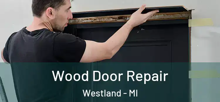  Wood Door Repair Westland - MI