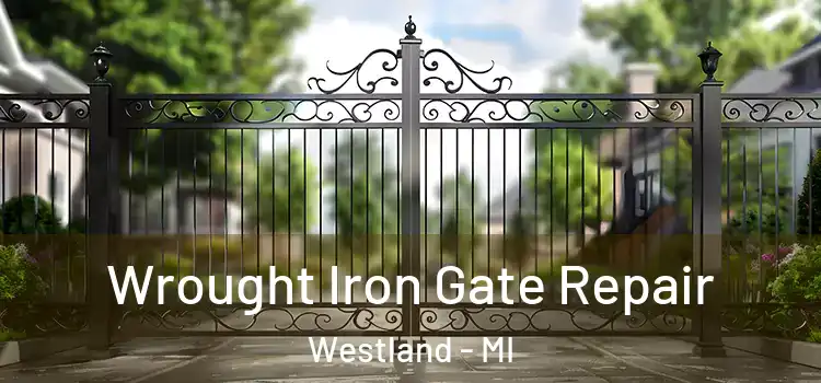 Wrought Iron Gate Repair Westland - MI
